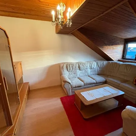Attic Flat In The Center Apartment Pressburg